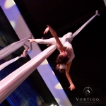 Vertigo - Aerial Silk - Group Acts - photo 96 of 99