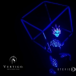 Vertigo - Light & UV Show - Human Light - photo 20 of 54